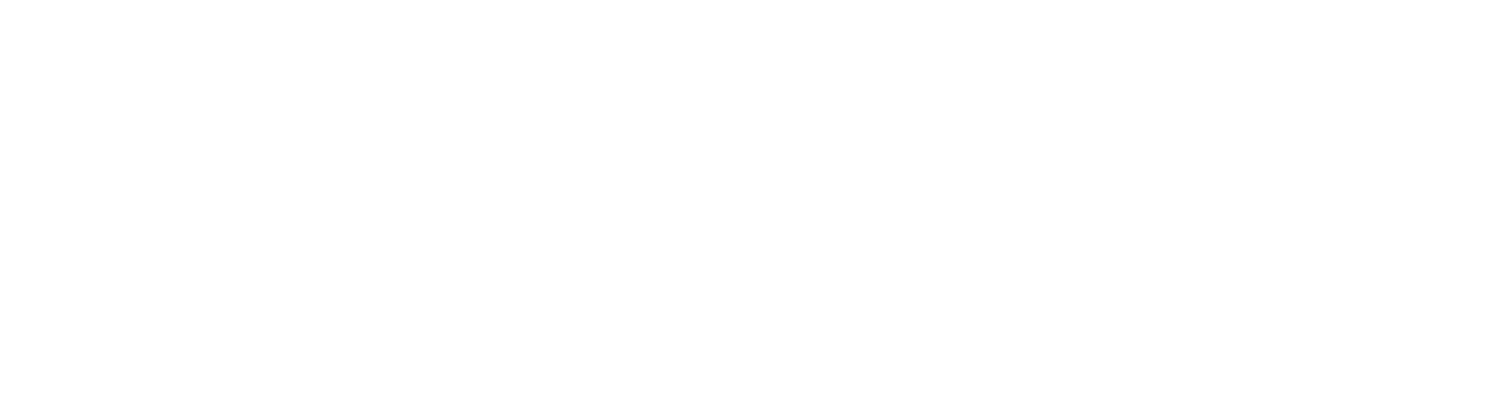 logo-ecos-info